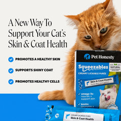 Pet Honesty sachet détaché montrant portion individuelle et facilité d'usage