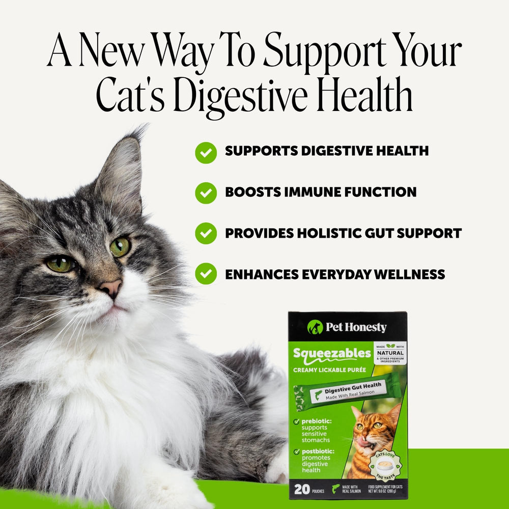 Pet Honesty tube ouvert révélant une texture onctueuse facile à presser