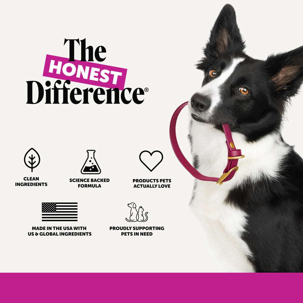 Bouteille Pet Honesty avec symbole plastique recyclé, engagement durable