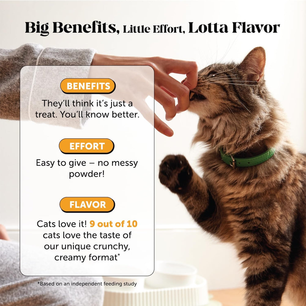 Pet Honesty sachet ouvert exposant les morceaux prêts à servir