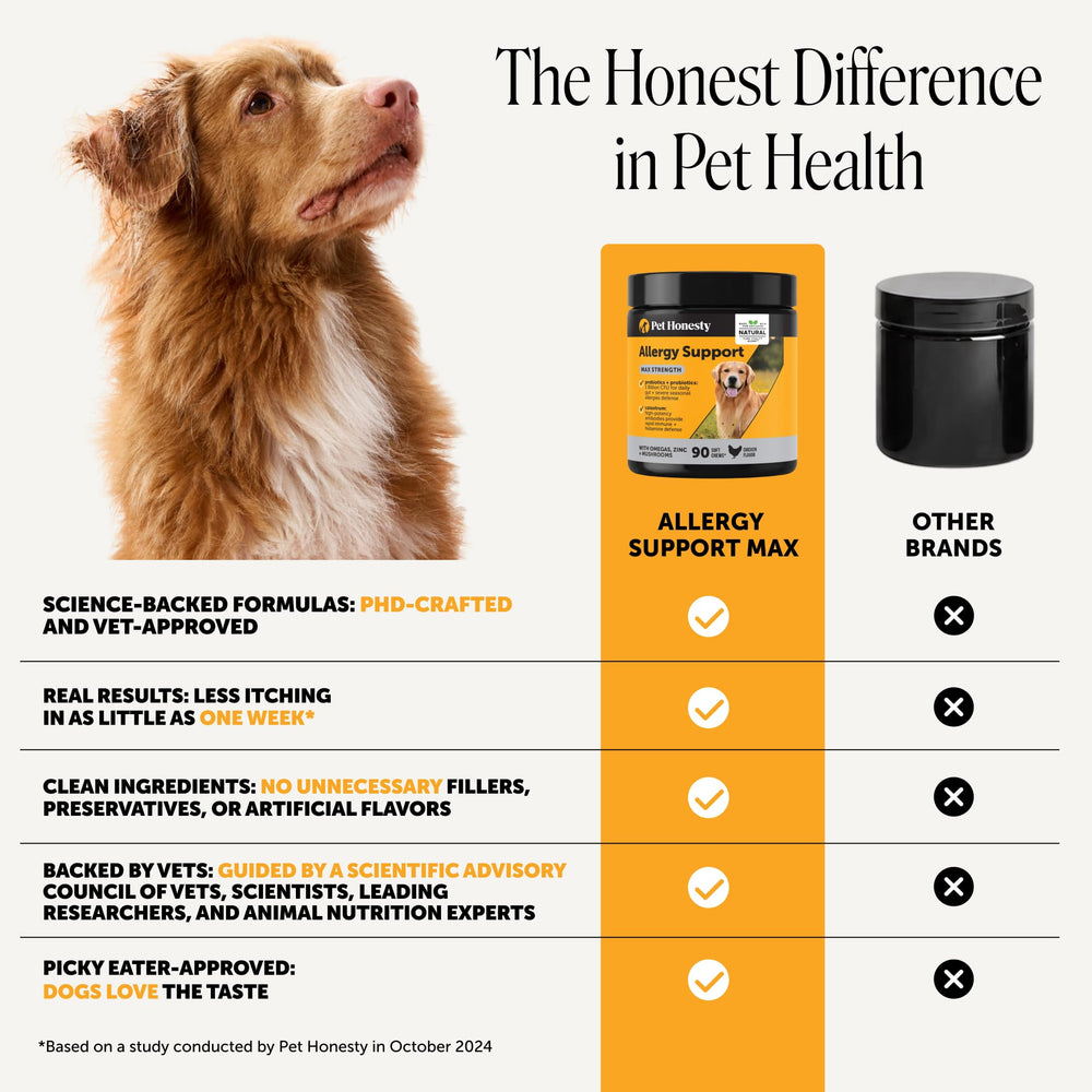 Pet Honesty taille en comparaison avec main, dimension adaptée aux chiens