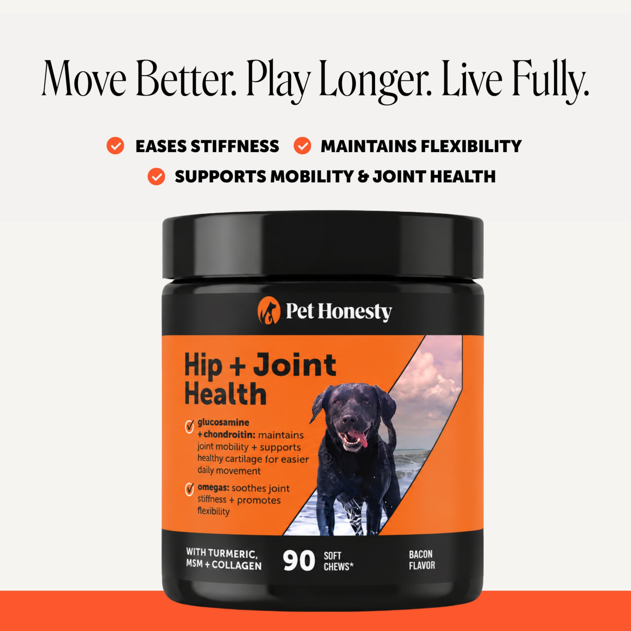 Pet Honesty chews en main pour montrer taille adaptée