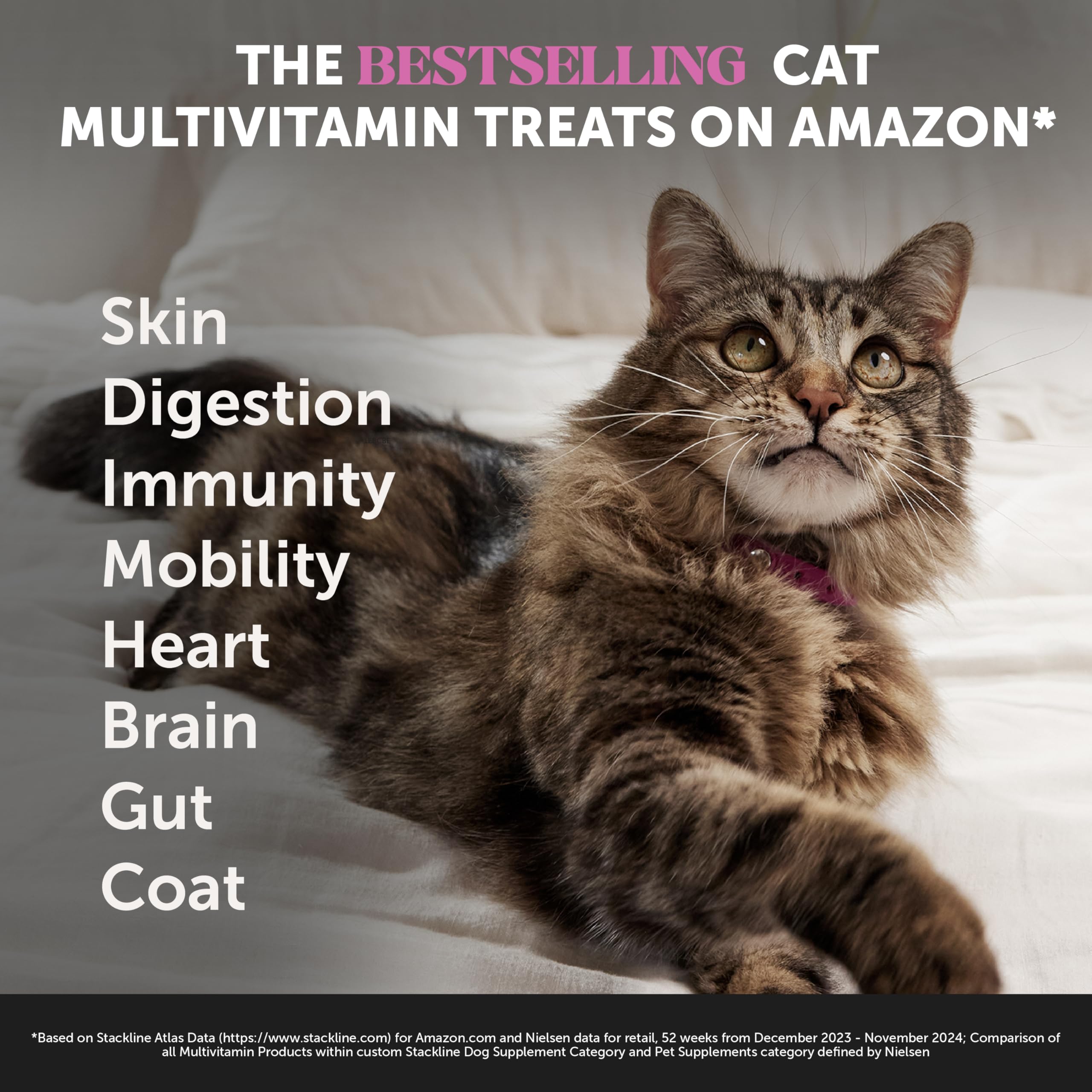 Pet Honesty cœur crémeux isolant nutriments pour meilleure absorption