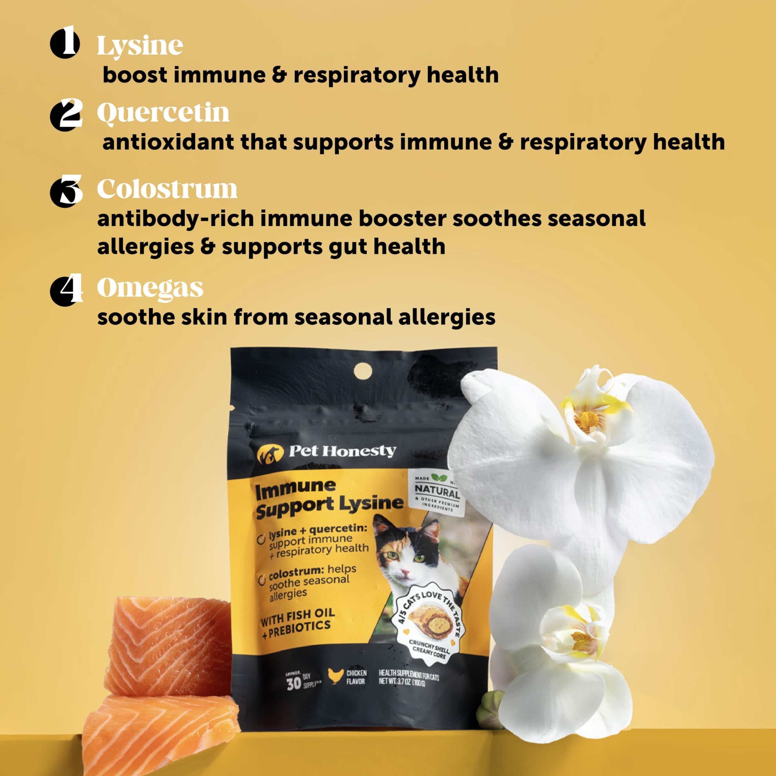 Pet Honesty texture croquante et crémeuse montrant la friandise détaillée