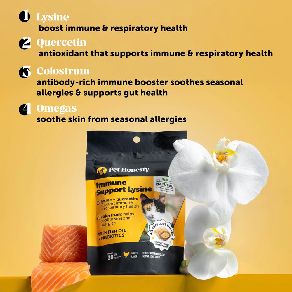 Pet Honesty texture croquante et crémeuse montrant la friandise détaillée