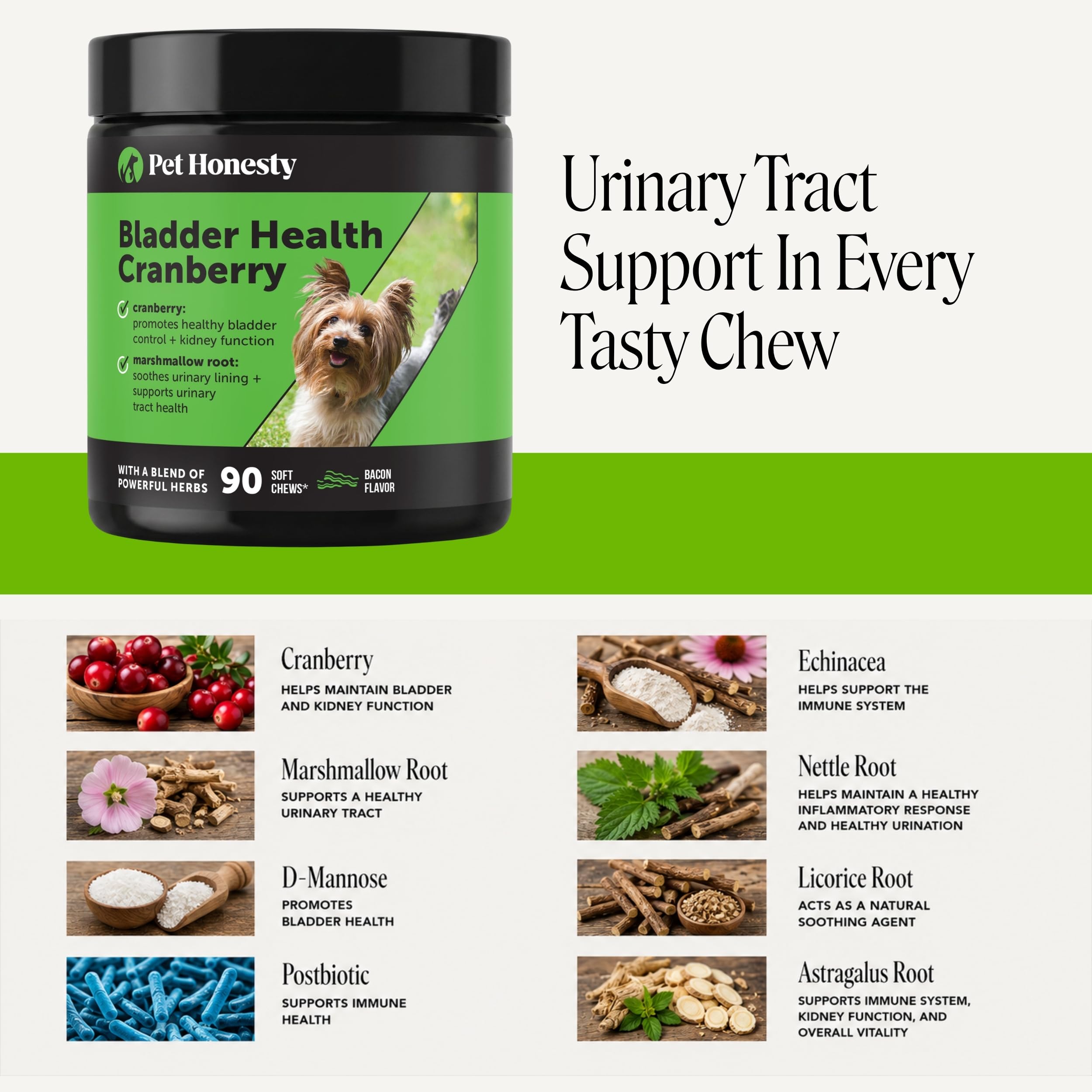 Pet Honesty texture détail révélant ingrédients naturels et qualité