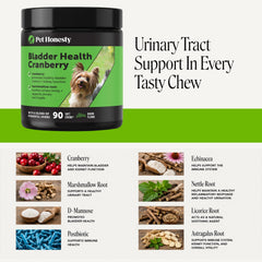 Pet Honesty texture détail révélant ingrédients naturels et qualité
