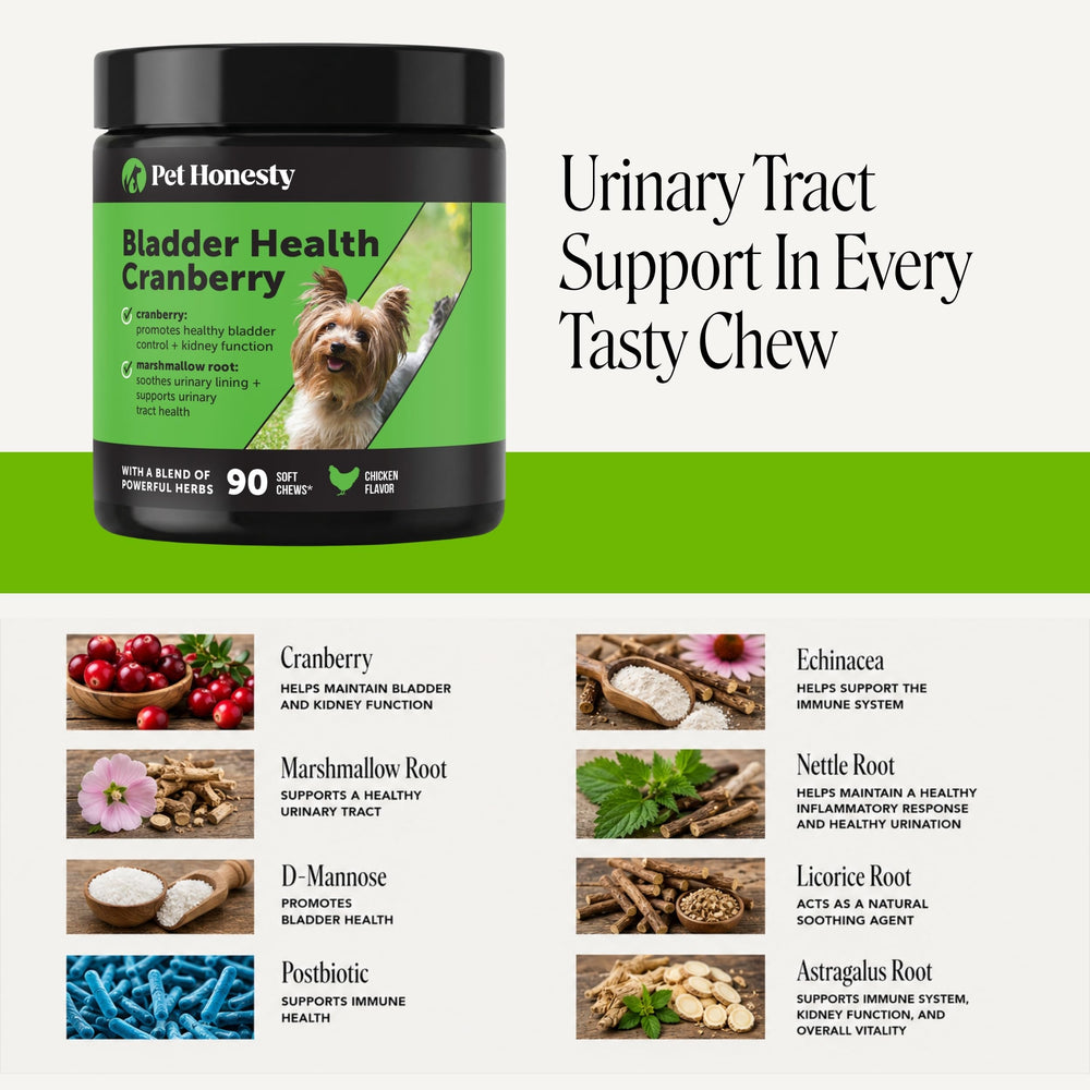 Pet Honesty texture molle des bouchées idéale pour tous les chiens et facile à mâcher