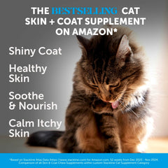 Pet Honesty gros plan sur texture double croquante et crémeuse bénéfice appétence