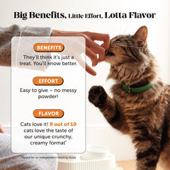 Pet Honesty friandise en main pour comparer taille, pratique et facile à donner