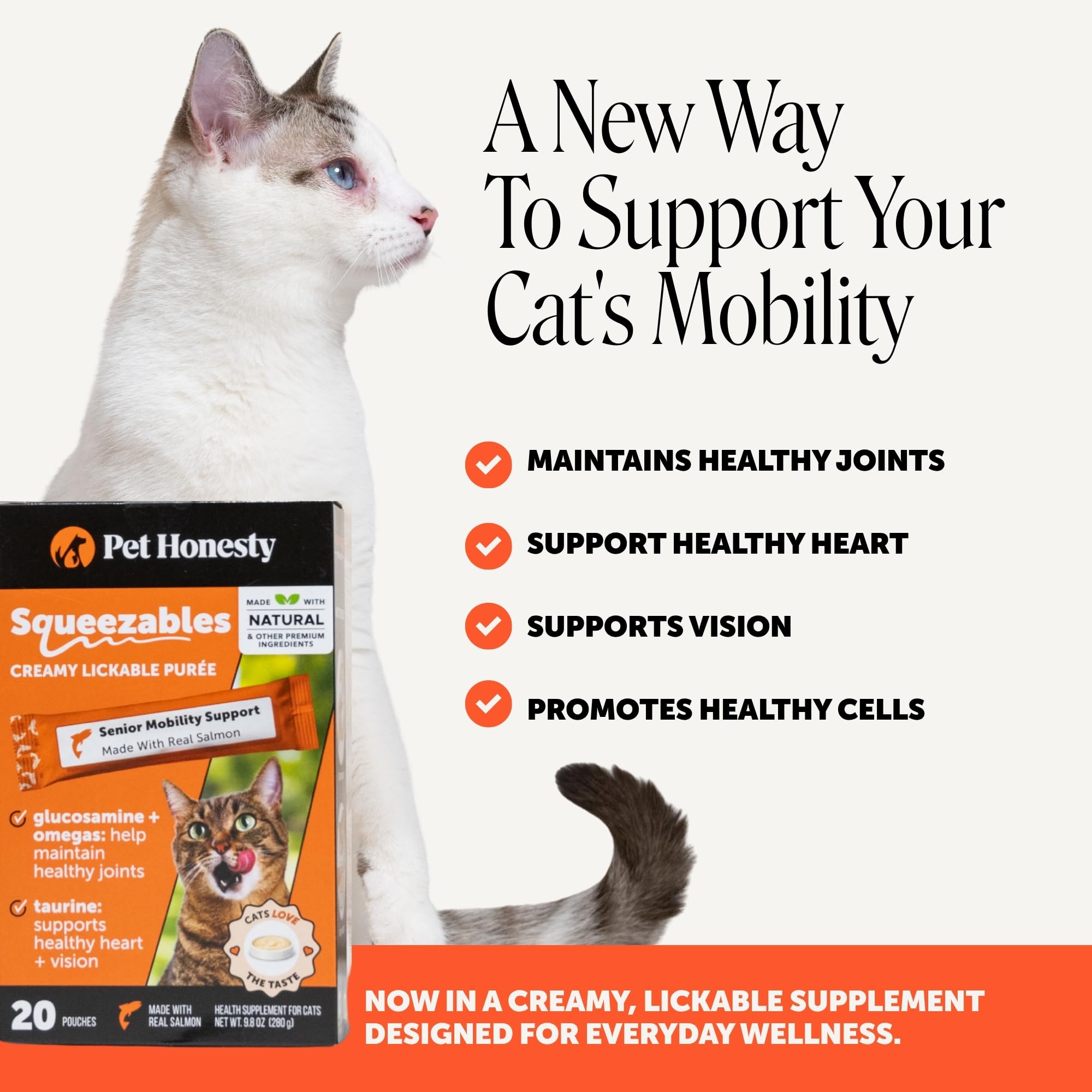 Pet Honesty tube gros plan illustrant dose individuelle pratique