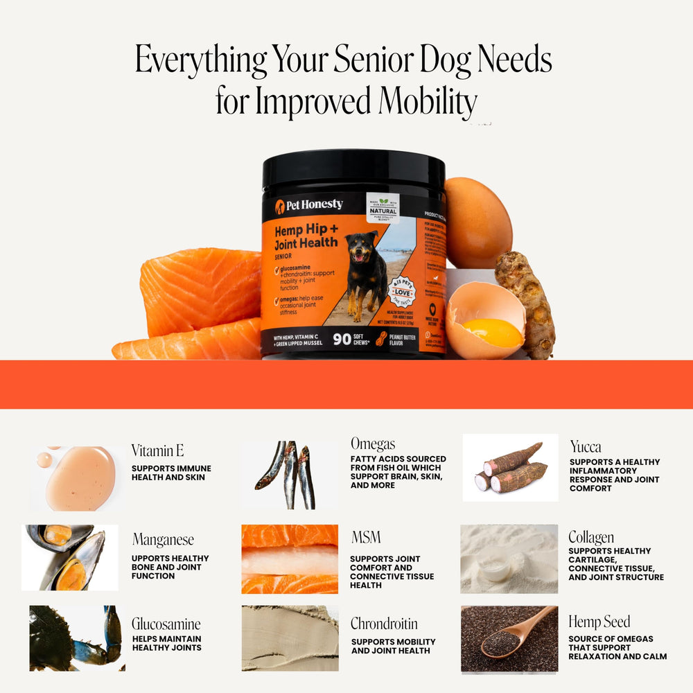 Pet Honesty chien senior recevant le comprimé montrant soutien mobilité