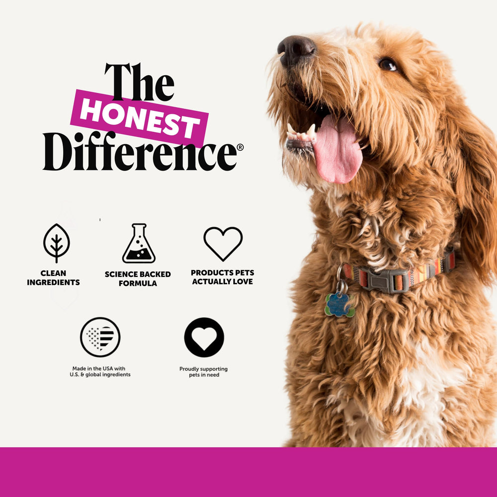 Pet Honesty certificat vétérinaire montrant recommandation fiable