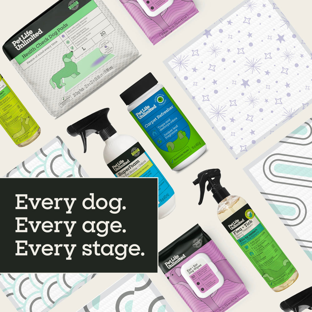 Pet Life Unlimited tapis placé dans un salon, solution élégante et hygiénique
