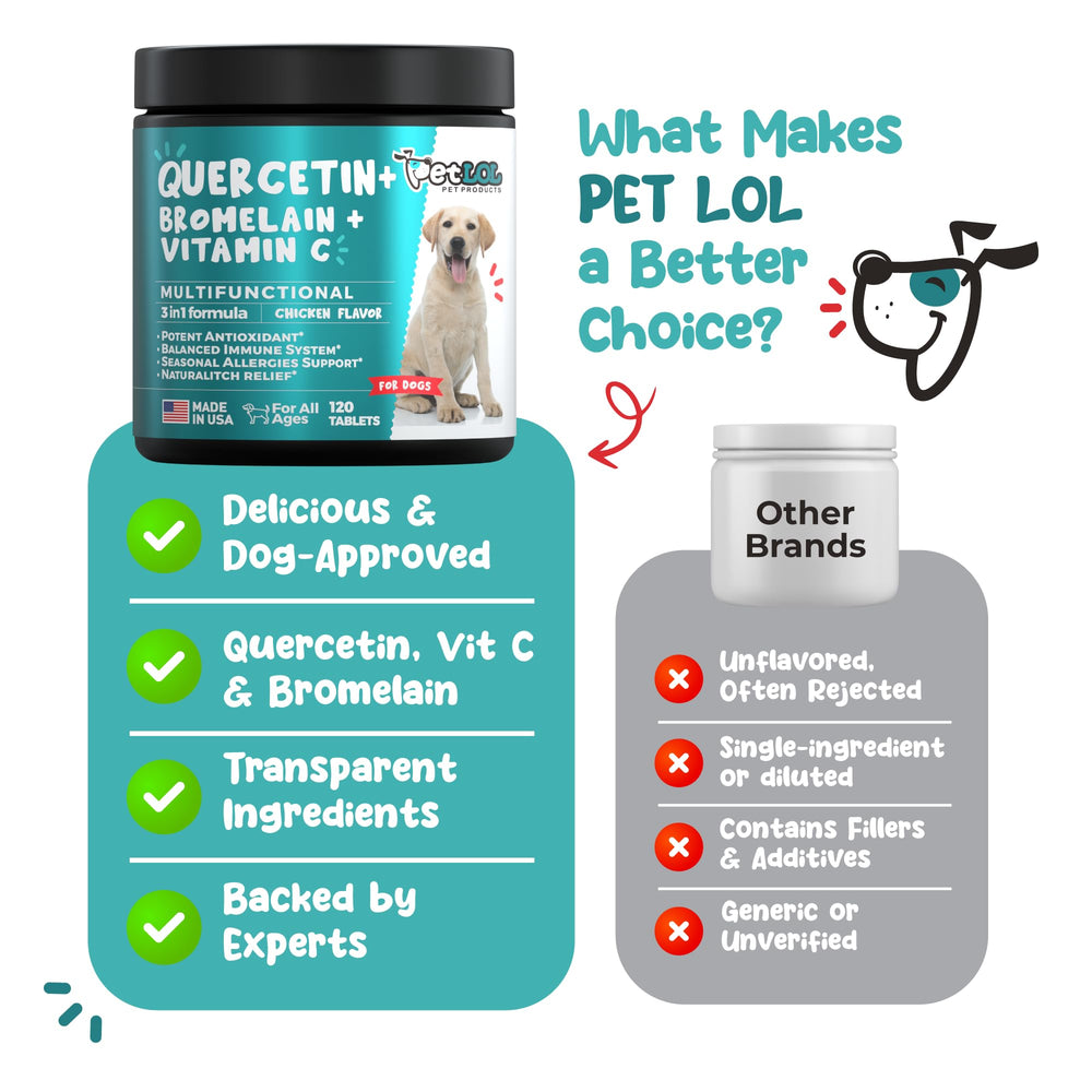 PET LOL chien détendu dans le jardin après supplémentation pour confort