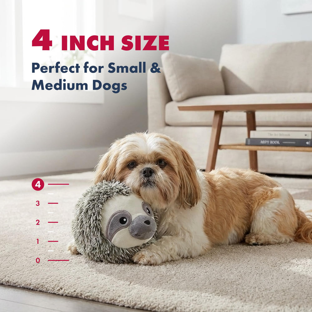 Pet Lou comparaison taille avec main pour visualiser l'échelle