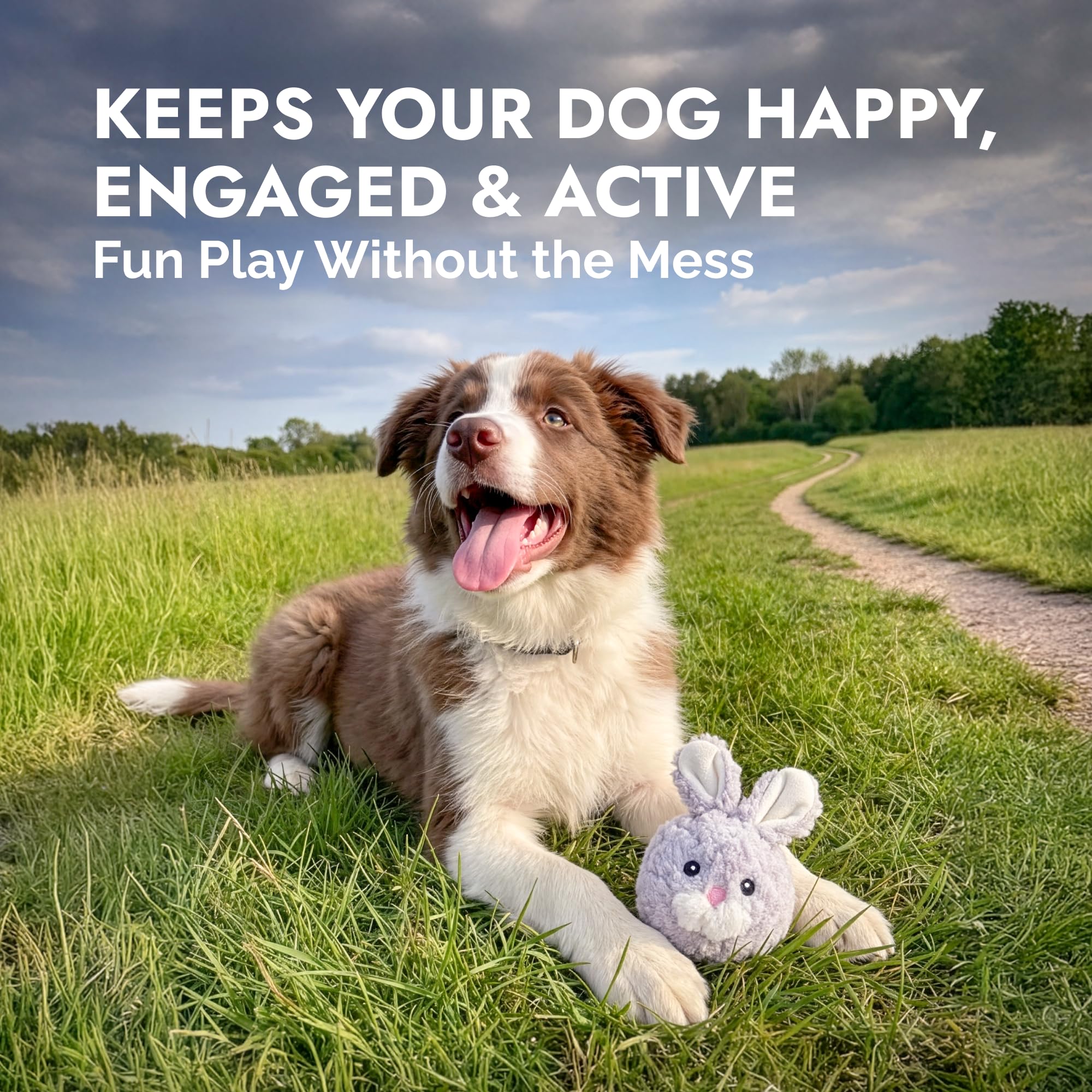 Pet Lou détail sifflet intégré stimulant intérêt et interaction