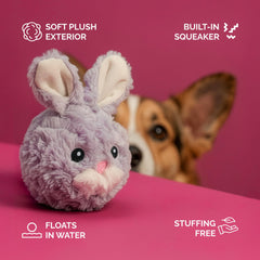 Pet Lou gros plan texture nylon offrant meilleure résistance mordant
