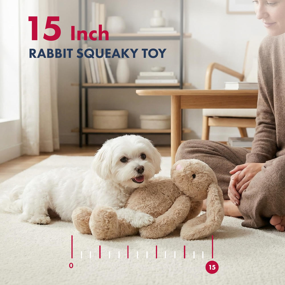 Pet Lou comparaison taille avec une main pour évaluer adéquation