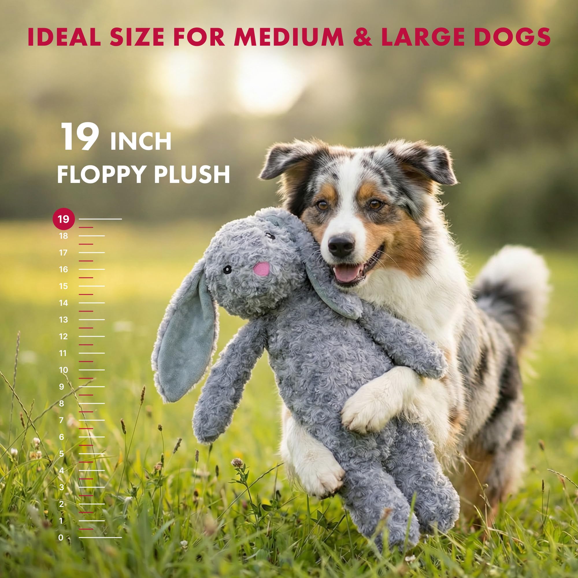 Pet Lou lapin en usage par chien encourage activité et rapport