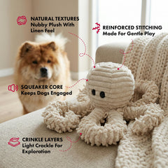 Pet Lou gros plan nubby plush naturel stimule mastication