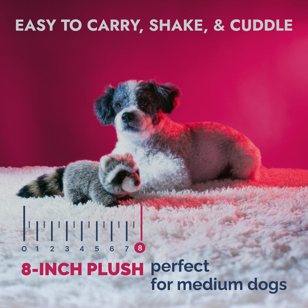 Pet Lou intérieur avec couineur cousu pour stimulation sonore durable