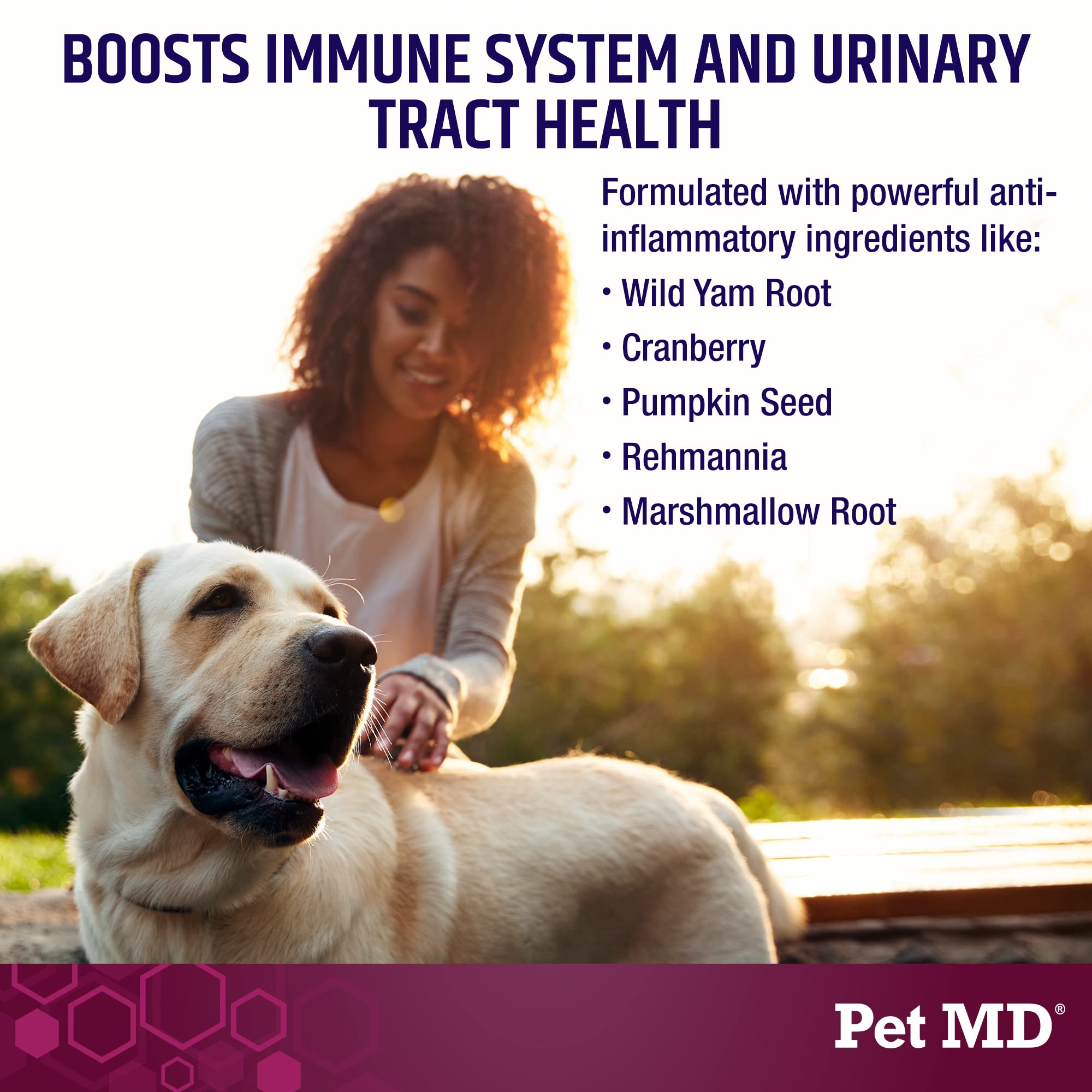 Pet MD airelle et graines de citrouille mettant en valeur antioxydants et soutien immunitaire