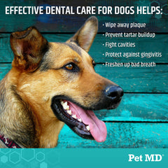 Pet MD lingette en main nettoyant dents, application facile
