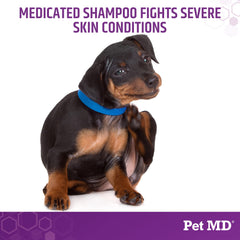Pet MD Micoseb-CX shampooing appliqué sur chien soulageant peau et pelage