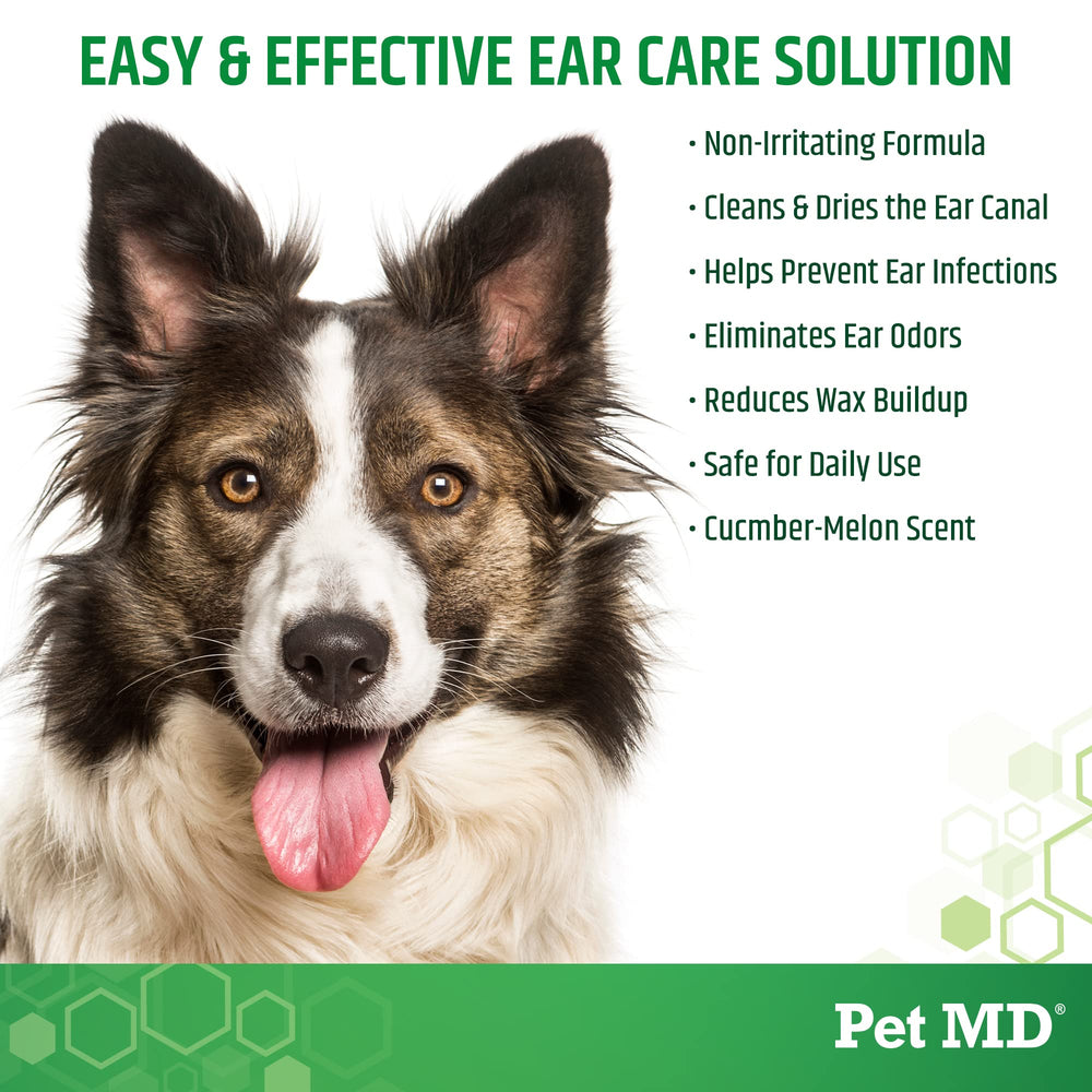 Pet MD gros plan sur solution et texture, démontrant formule douce à l'aloé vera