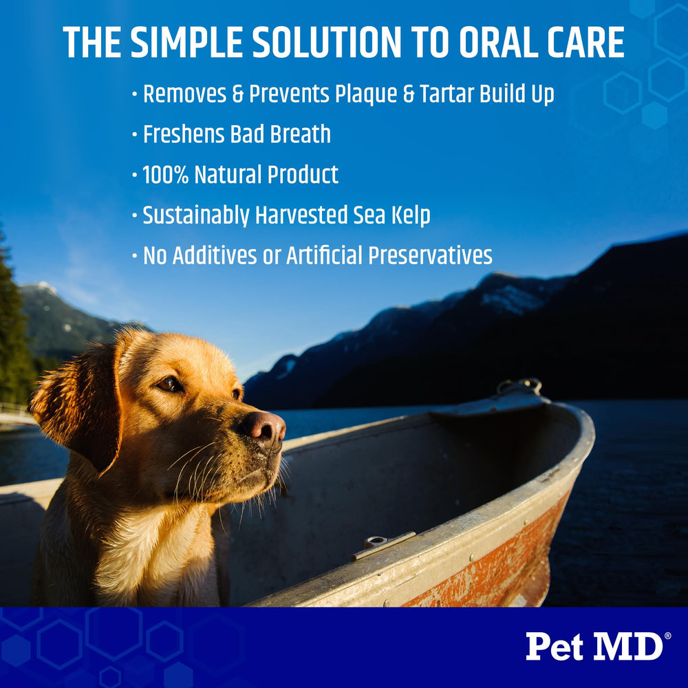 Pet MD cuillère doseuse montrant dose pratique et simple