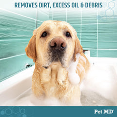 Pet MD mousse en gros plan illustrant la texture et le pouvoir dégraissant