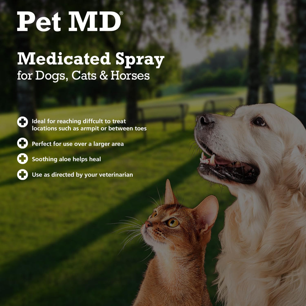 Pet MD spray utilisé sur un chien, nettoyage ciblé et confort immédiat