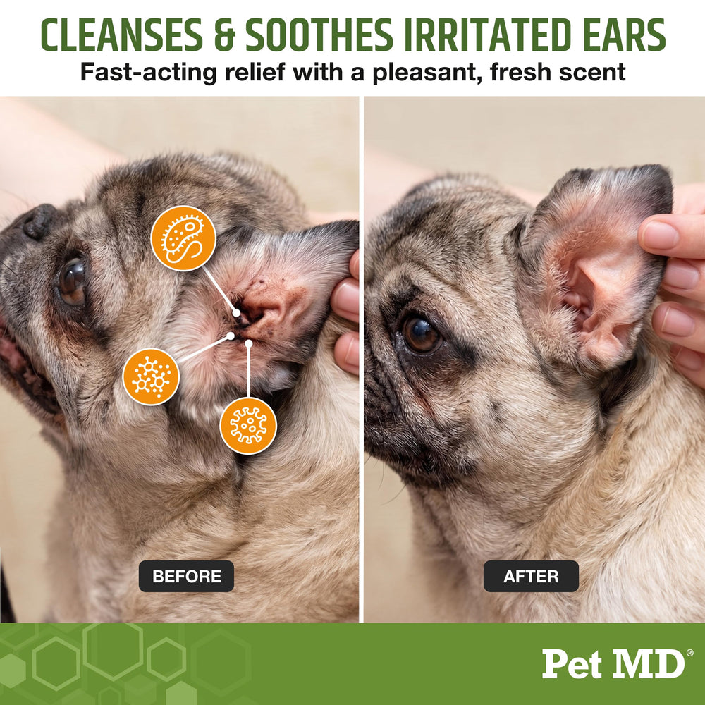 Pet MD texture de la lingette en gros plan pour nettoyage doux
