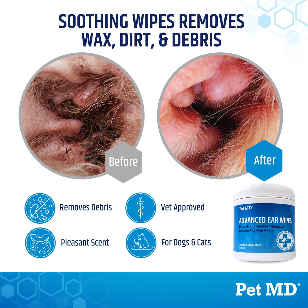 Pet MD gros plan sur la texture de la lingette, douce et efficace