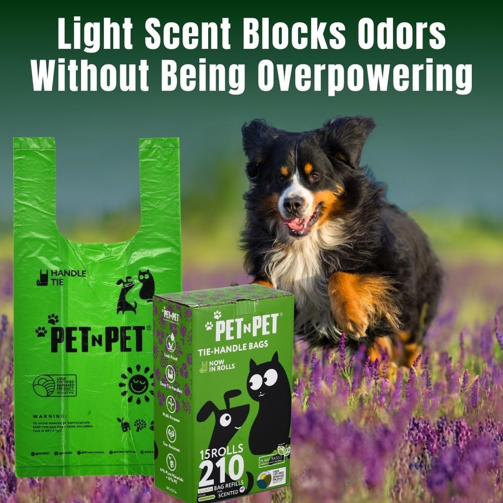 PET N PET packaging ouvert affichant rouleaux et économie du lot