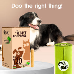 Pet N Pet sac en usage lors d'une promenade, hygiène facilitée et propre