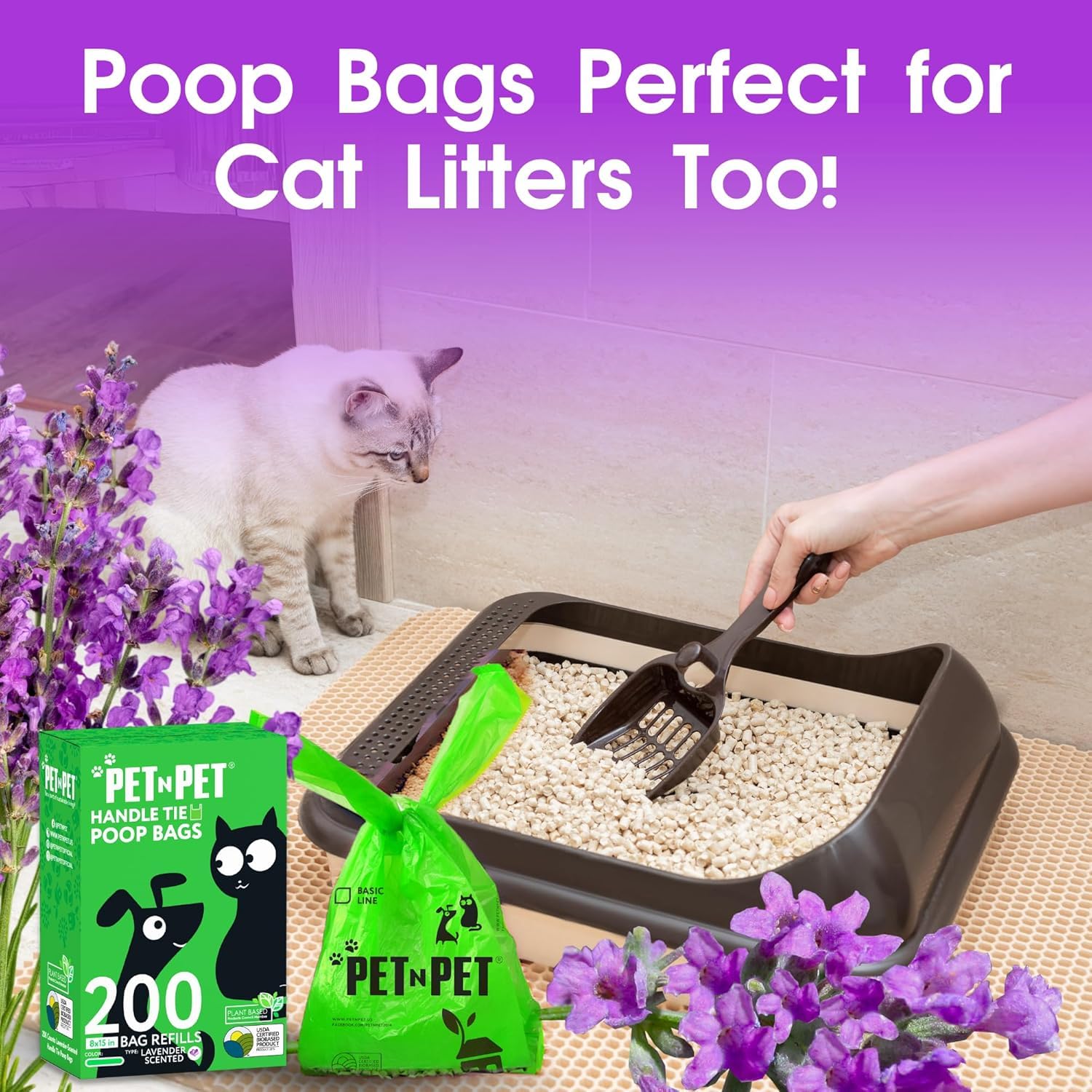 PET N PET sac en usage lors d'une promenade, collecte rapide
