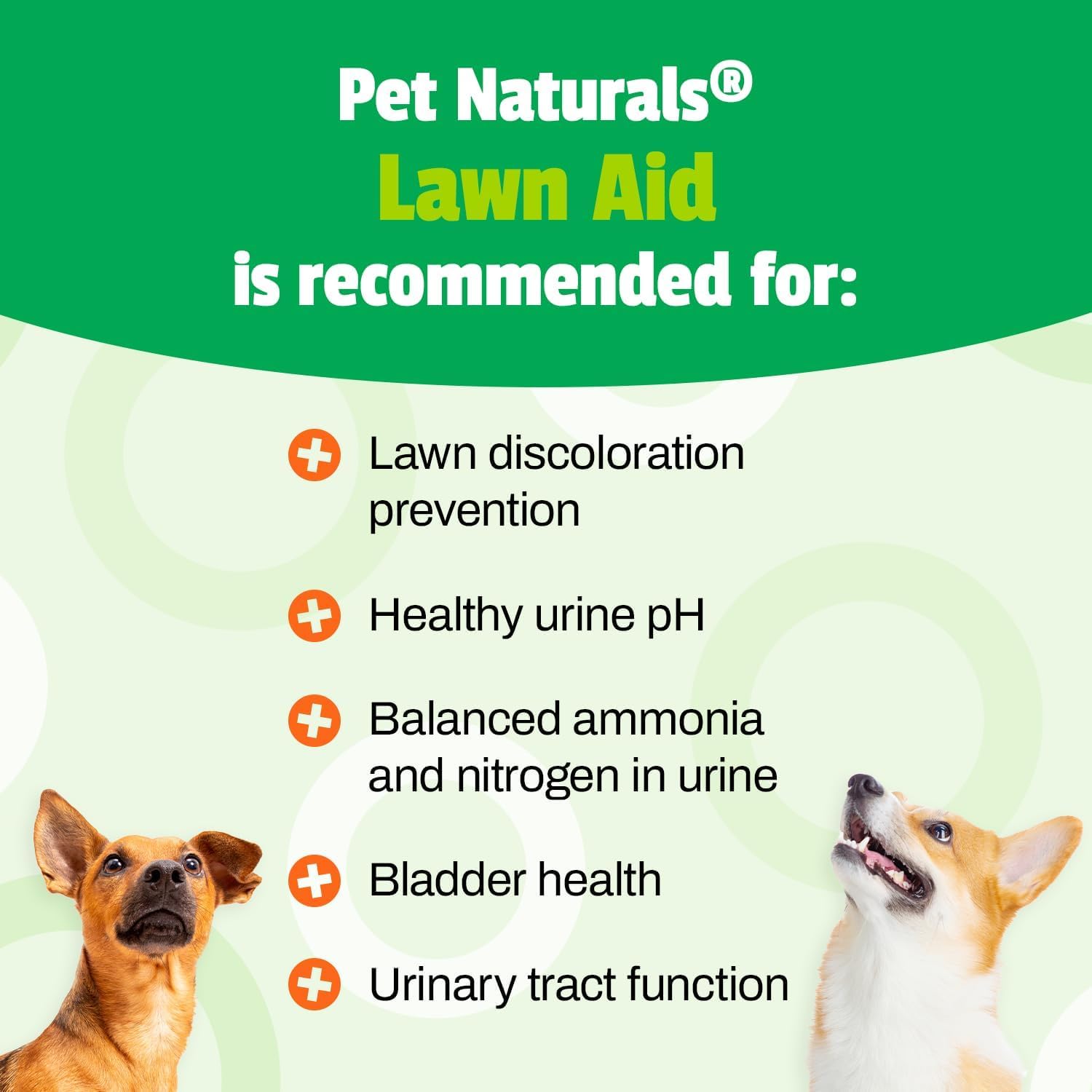 Pet Naturals bouchée en usage avec chien montrant acceptation facile et plaisir du chien