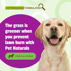 Pet Naturals bouchées gros plan montrant la forme savoureuse et appétence pour chien