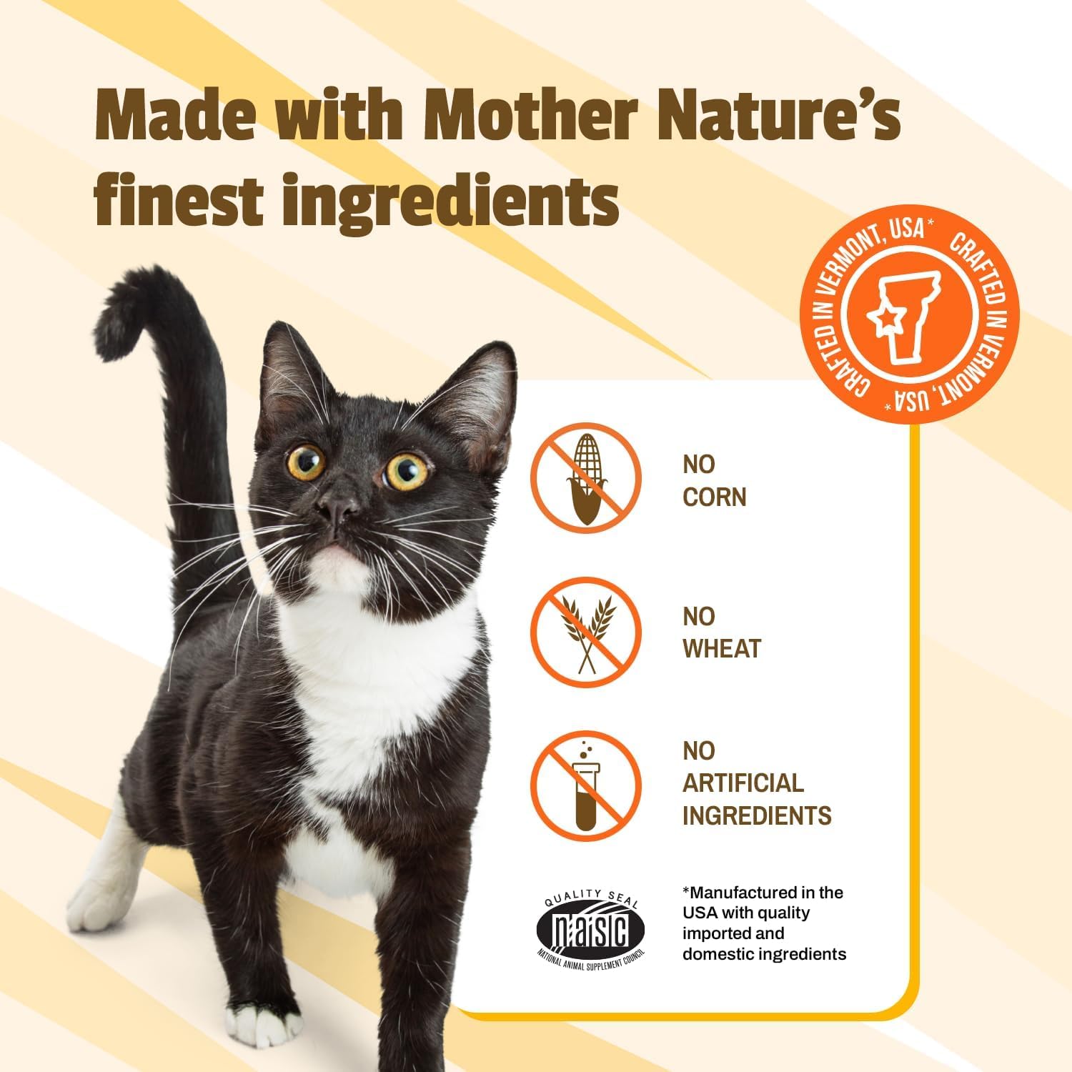 Pet Naturals chat acceptant un chew montrant acceptation et facilité d’usage