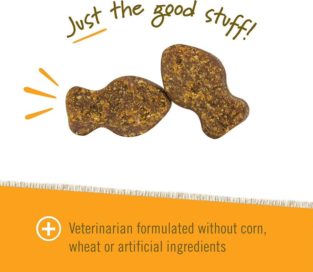 Pet Naturals chat acceptant la pastille, simplifie la prise quotidienne