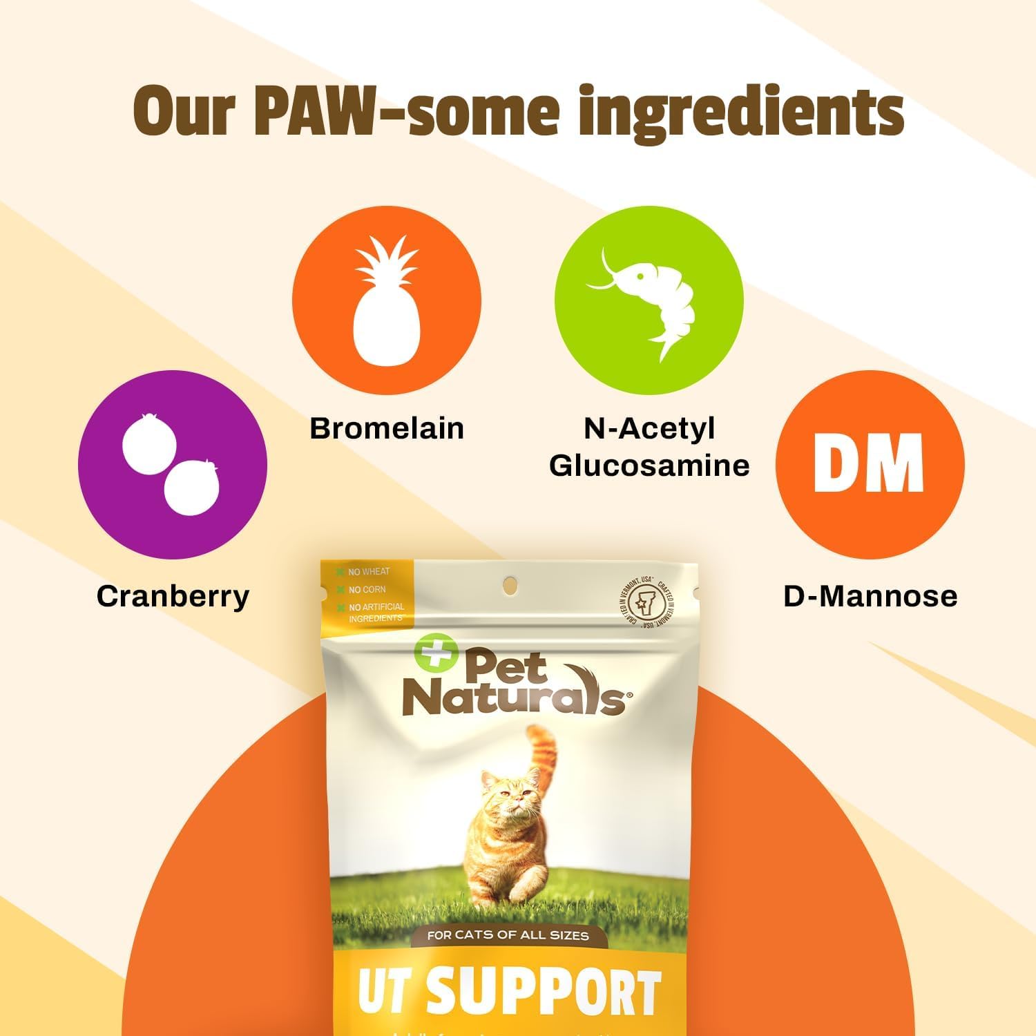 Pet Naturals chews dans la main pour évaluer taille et facilité d’administration