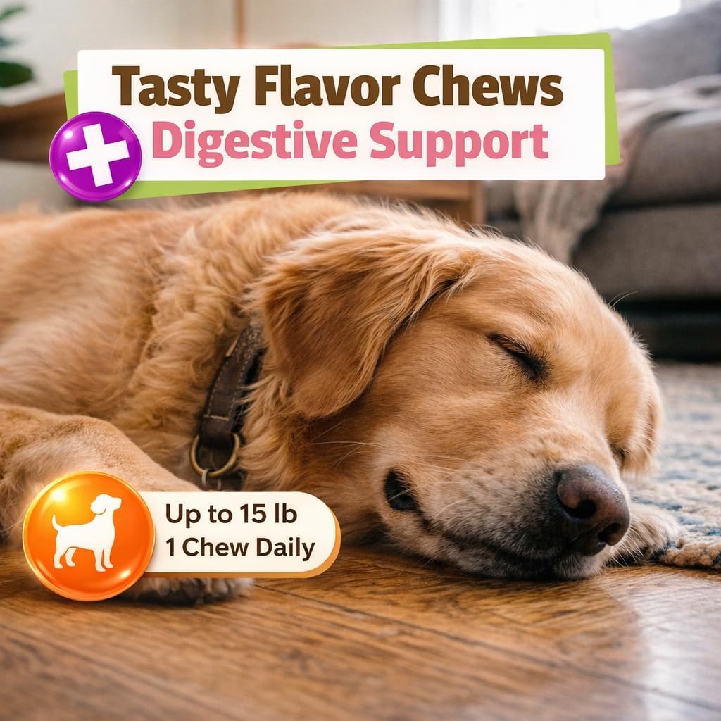 Pet Naturals chien prenant une bouchée dans le salon pour calmer le stress