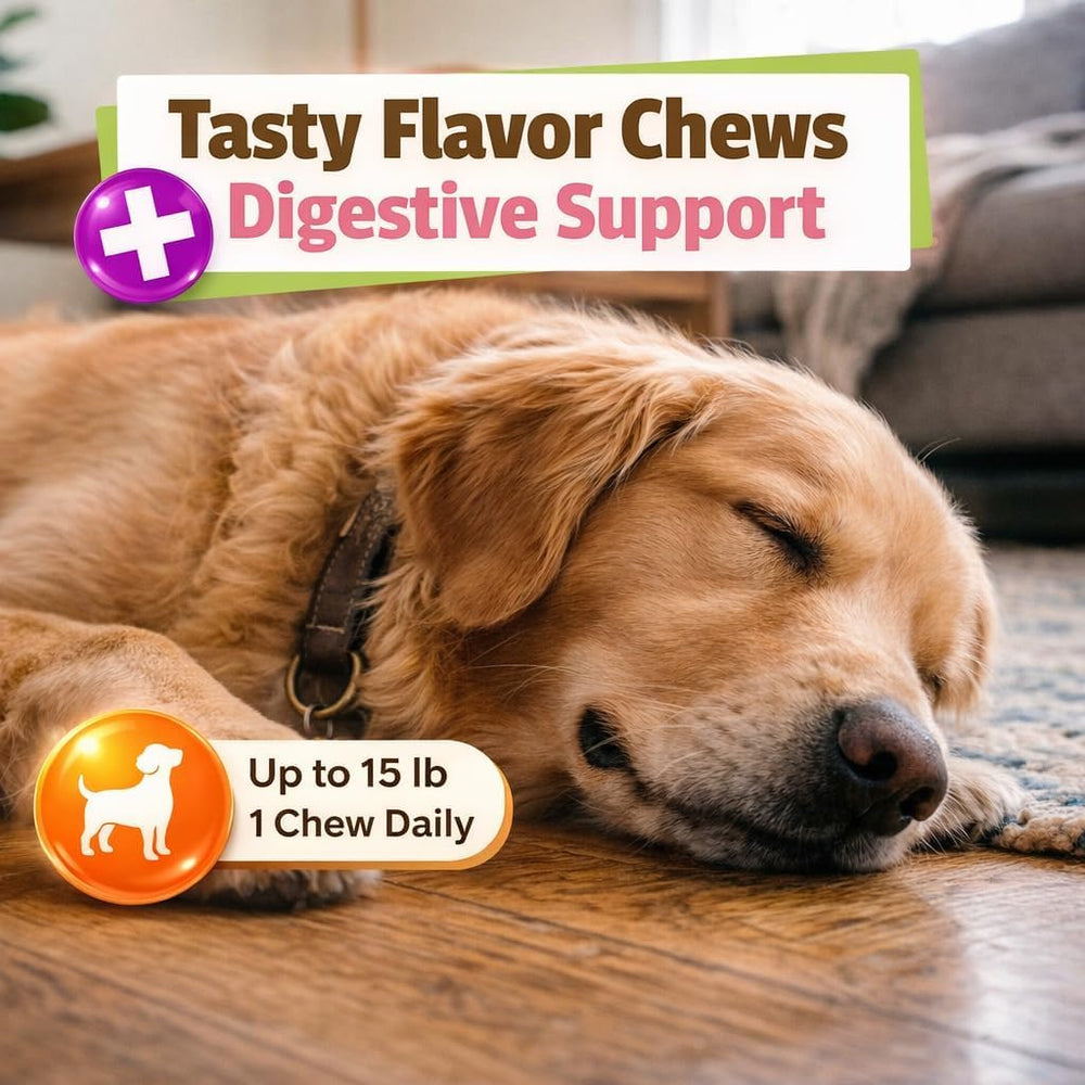 Pet Naturals chien prenant une bouchée dans le salon pour calmer le stress