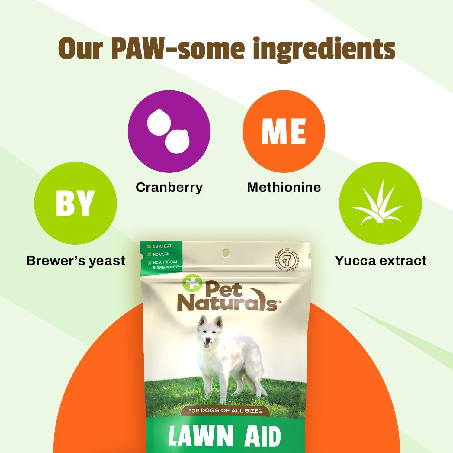 Pet Naturals composition ingredients montrant canneberge, méthionine, levure et yucca bénéfice urinaire