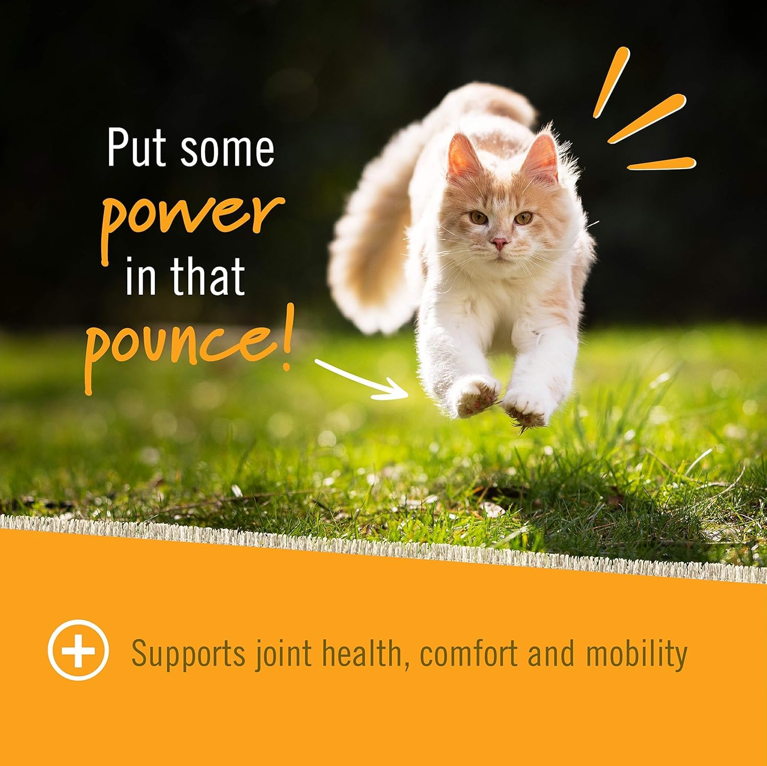 Pet Naturals comparaison taille avec main pour dosage visuel pratique