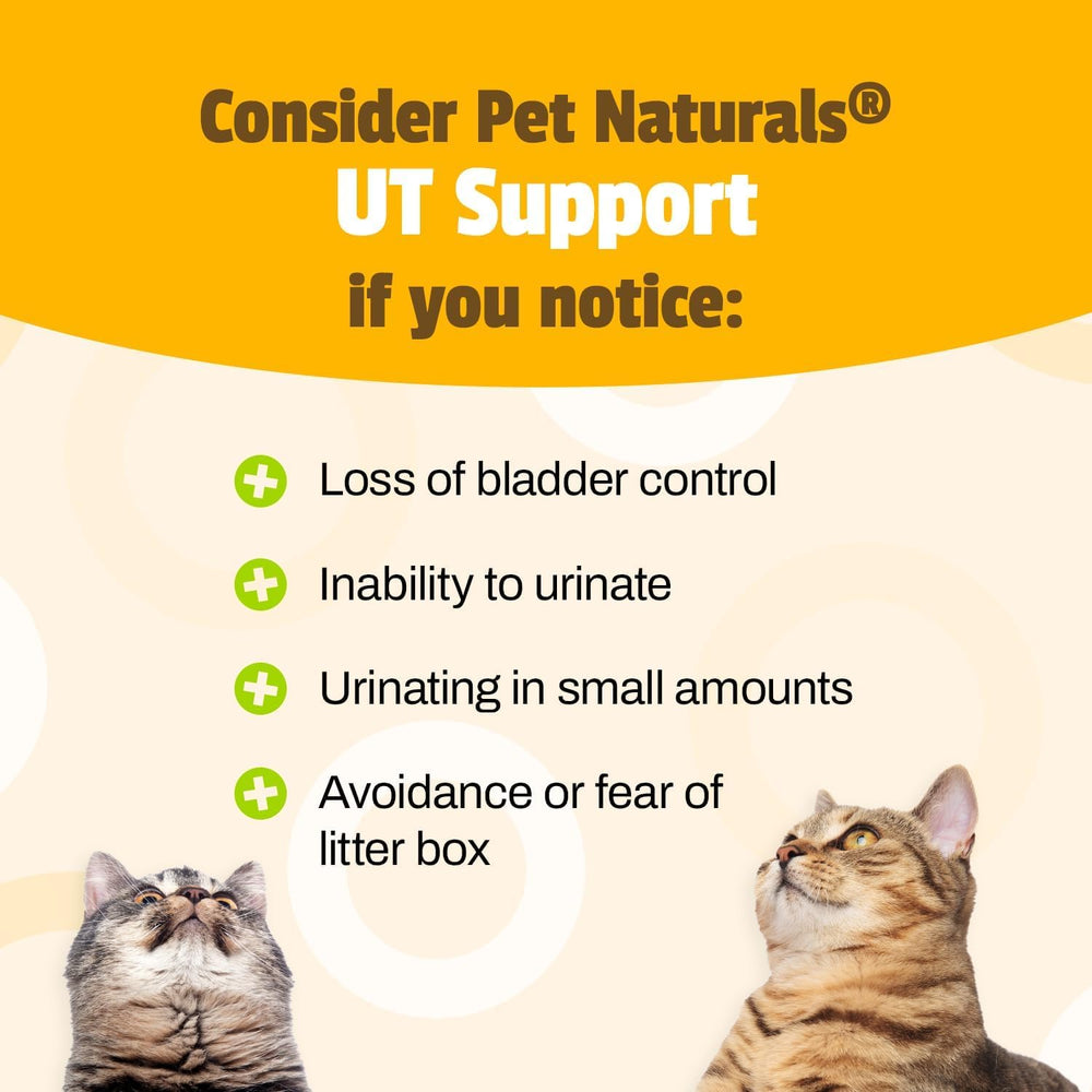 Pet Naturals étiquette lisible listant cranberry et autres ingrédients bénéfiques