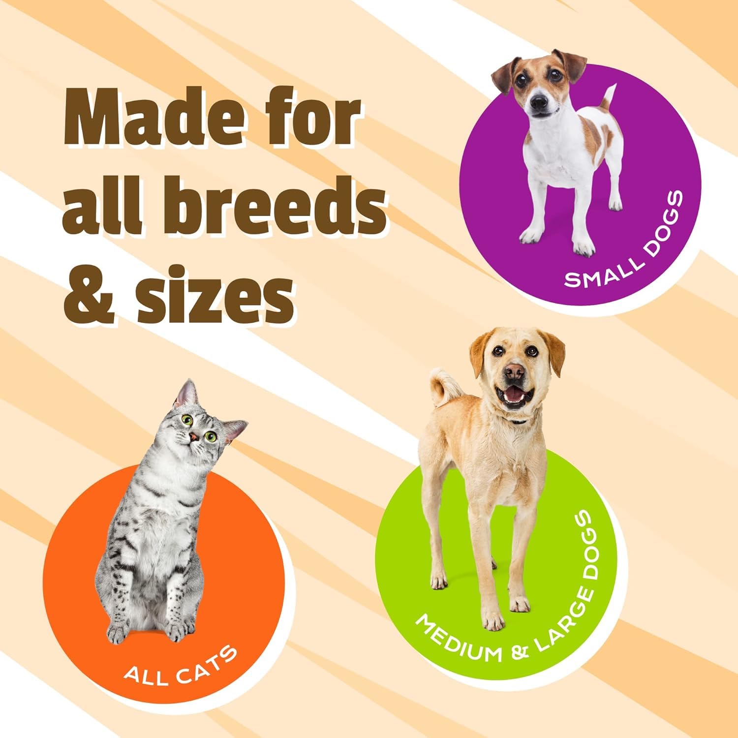 Pet Naturals mastic à côté d'une main pour indiquer taille et dosage facile