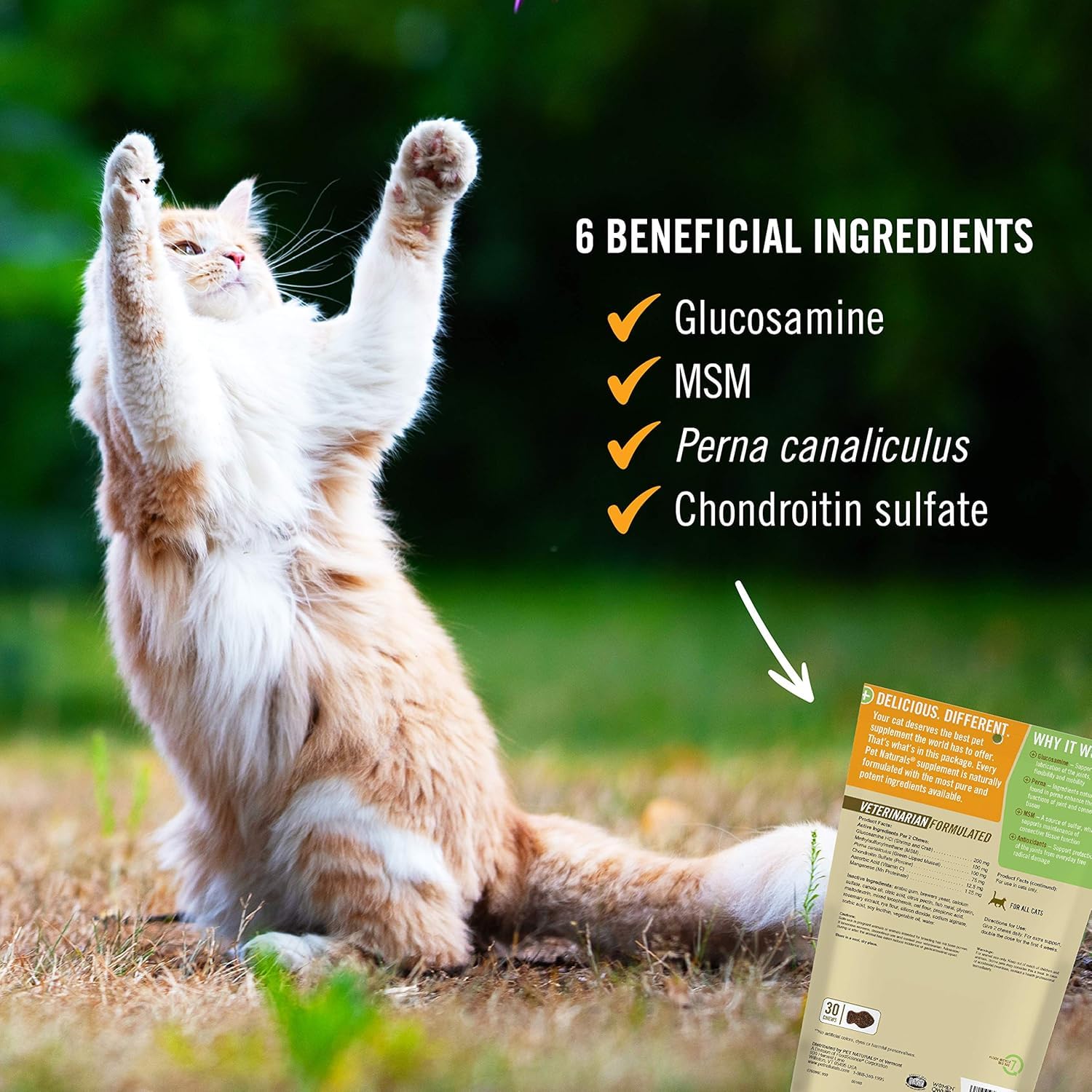 Pet Naturals sachet ouvert avec pastilles, accès facile pour administration